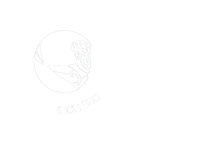 CSE Brasil