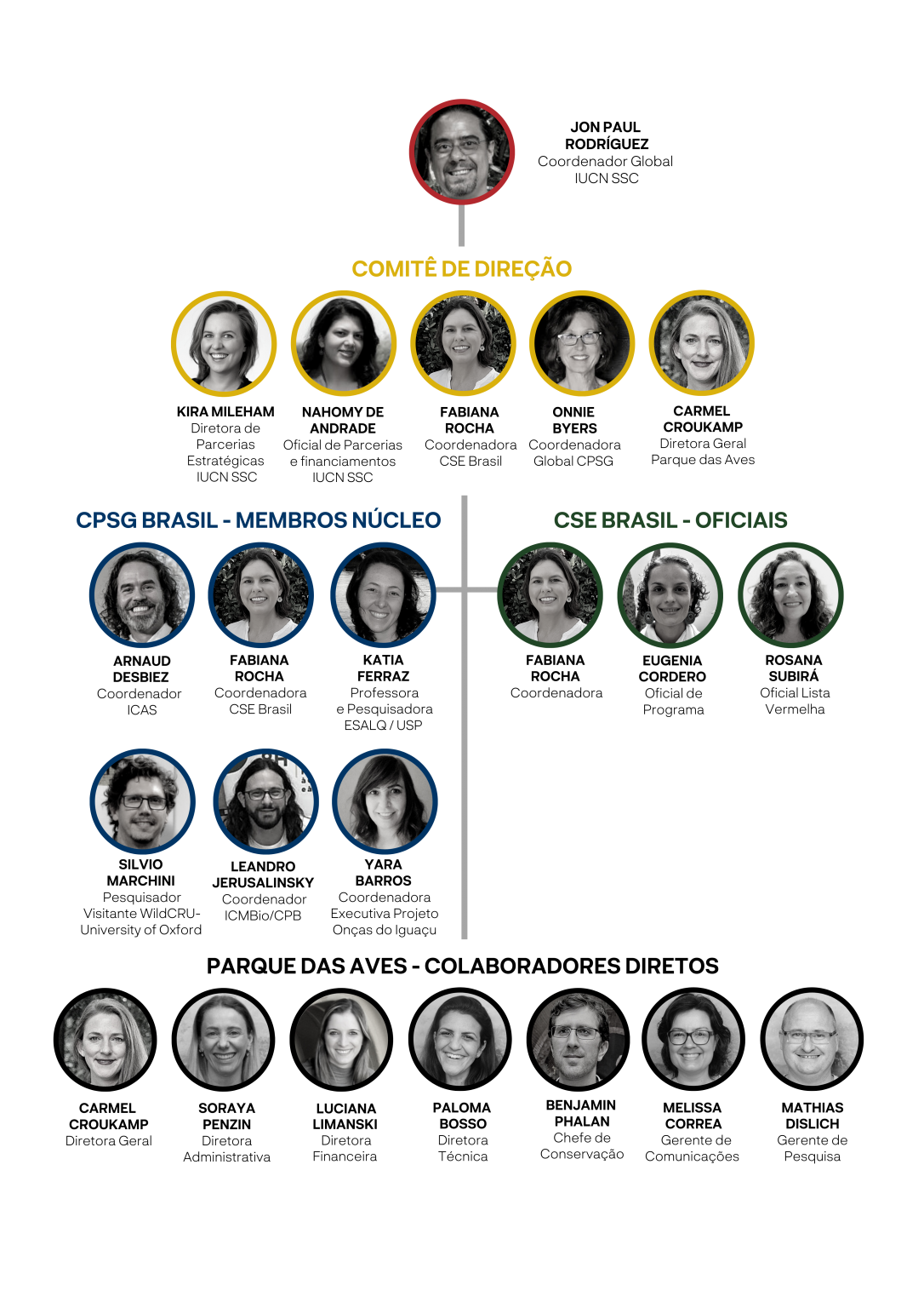 Organograma da equipe do CSE Brasil