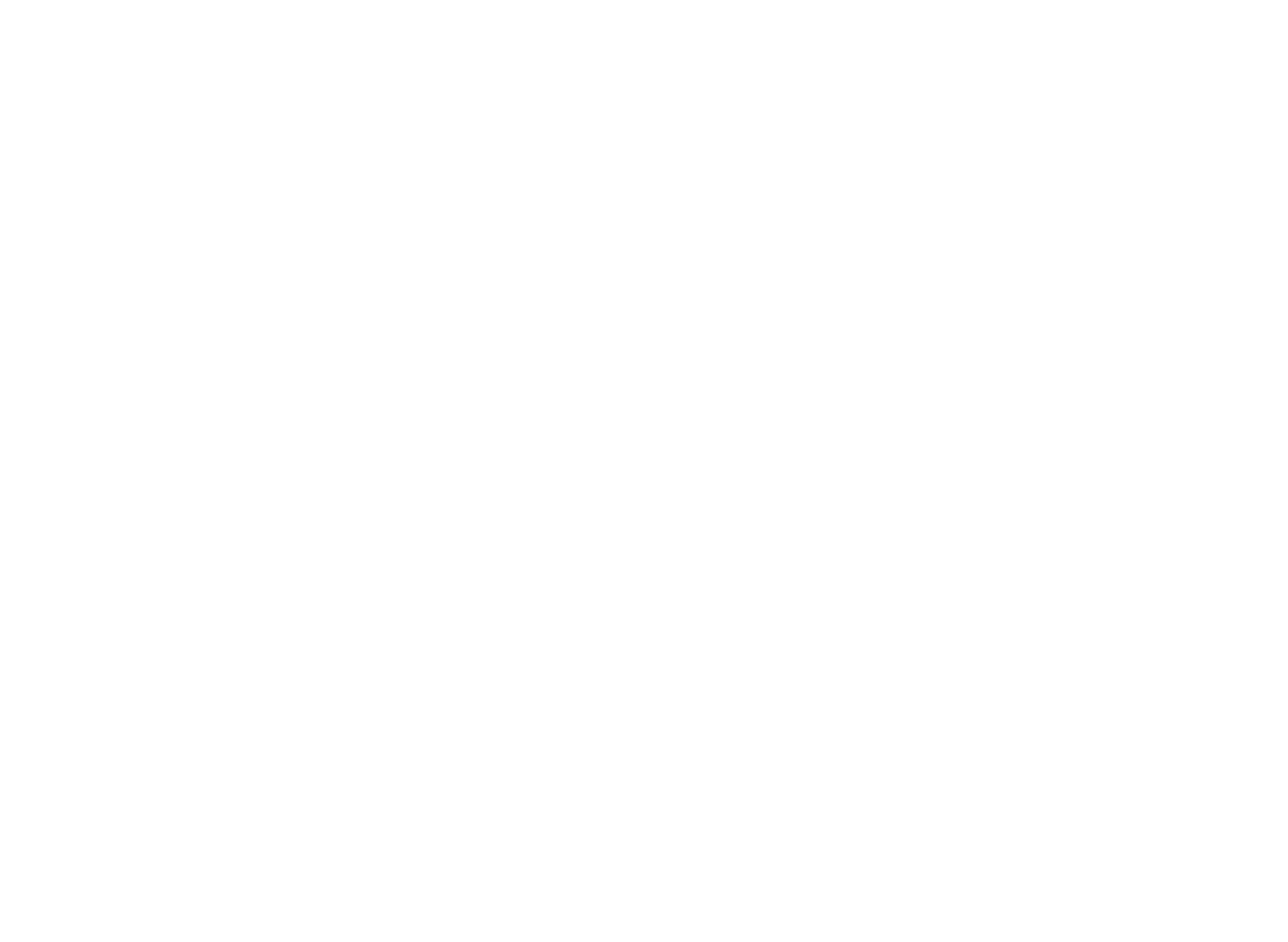 Logo CSEBrasil_brancoFINAL_29.01.2021