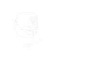 Logo CSE Brasil_branco