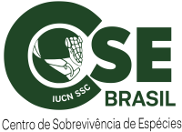 cropped-LOGO-CSE-BRASIL-FINAL-29.01.2021.png